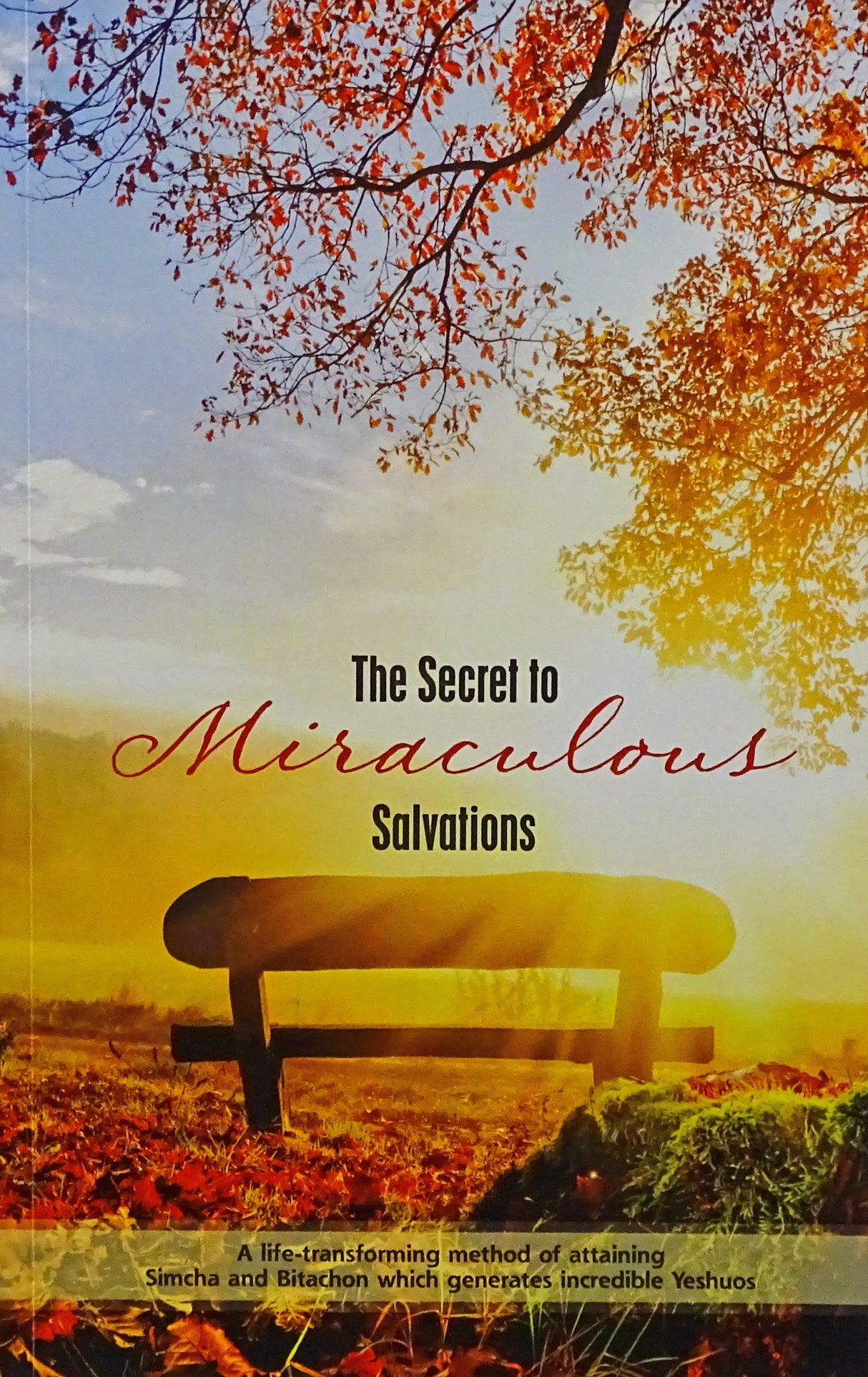 The Secret to Miraculous Salvations Volume 1