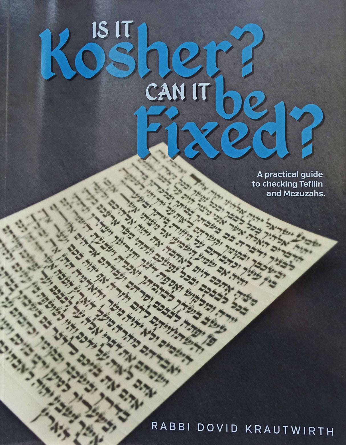 Is it Kosher? Can it be Fixed? Paperback