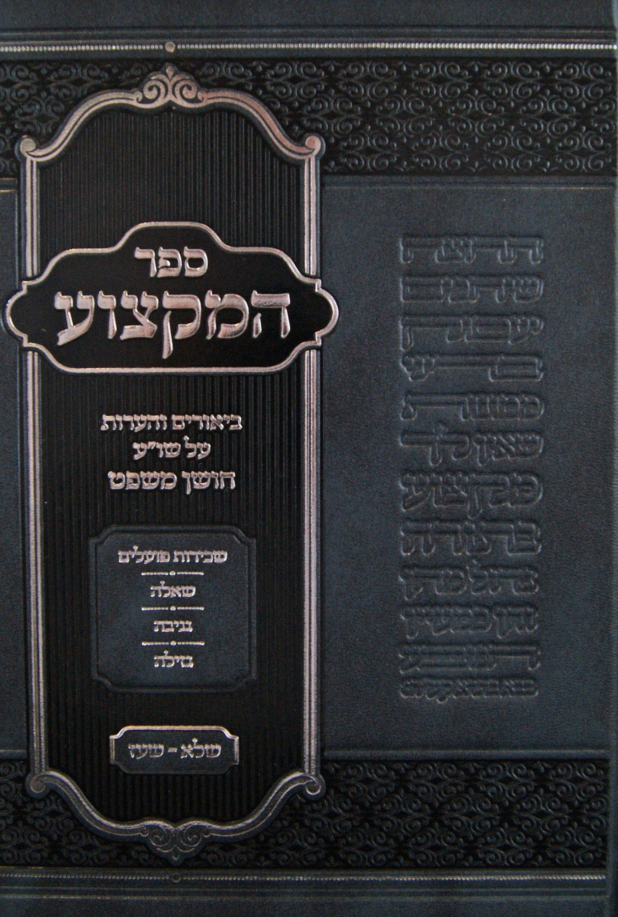 המקצוע - ביאורים והערות על חו"מ סימנים שלא-שעז