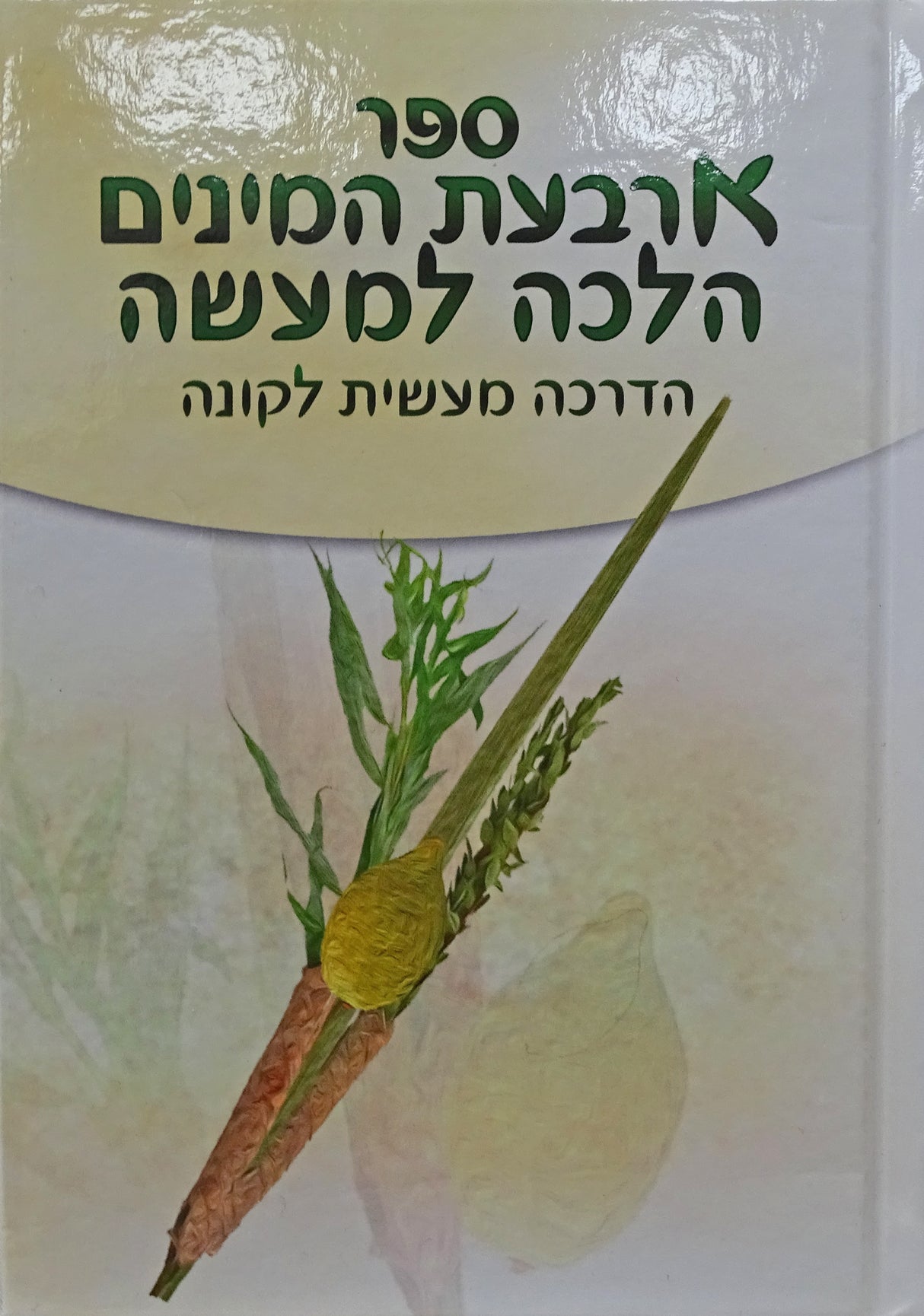 ארבעת המינים הלכה למעשה