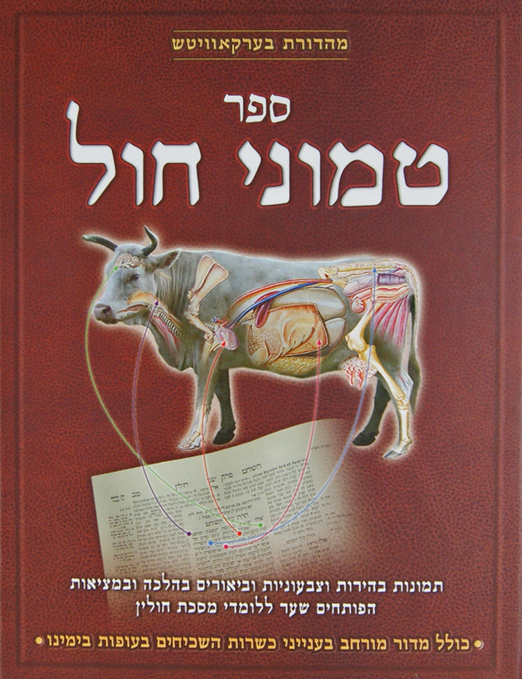 טמוני חול-תמונות בהירות וצבעוניות וביאורים-מסכת חולין