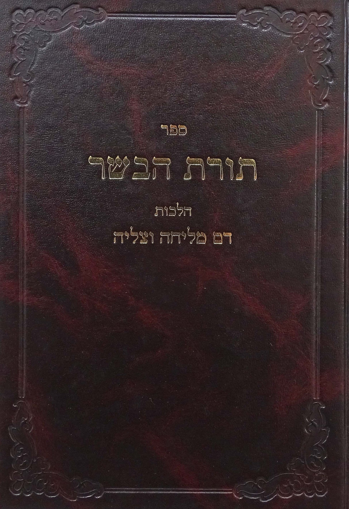 תורת הבשר - דם מליחה וצליה