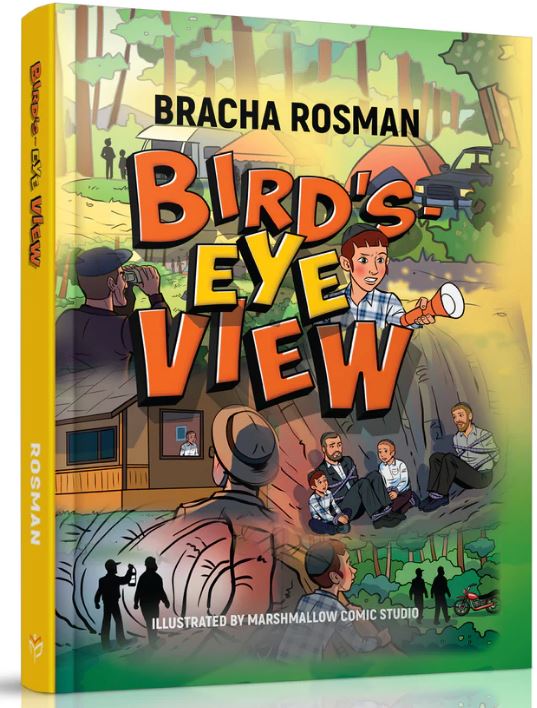 Bird's-Eye View - Comic
