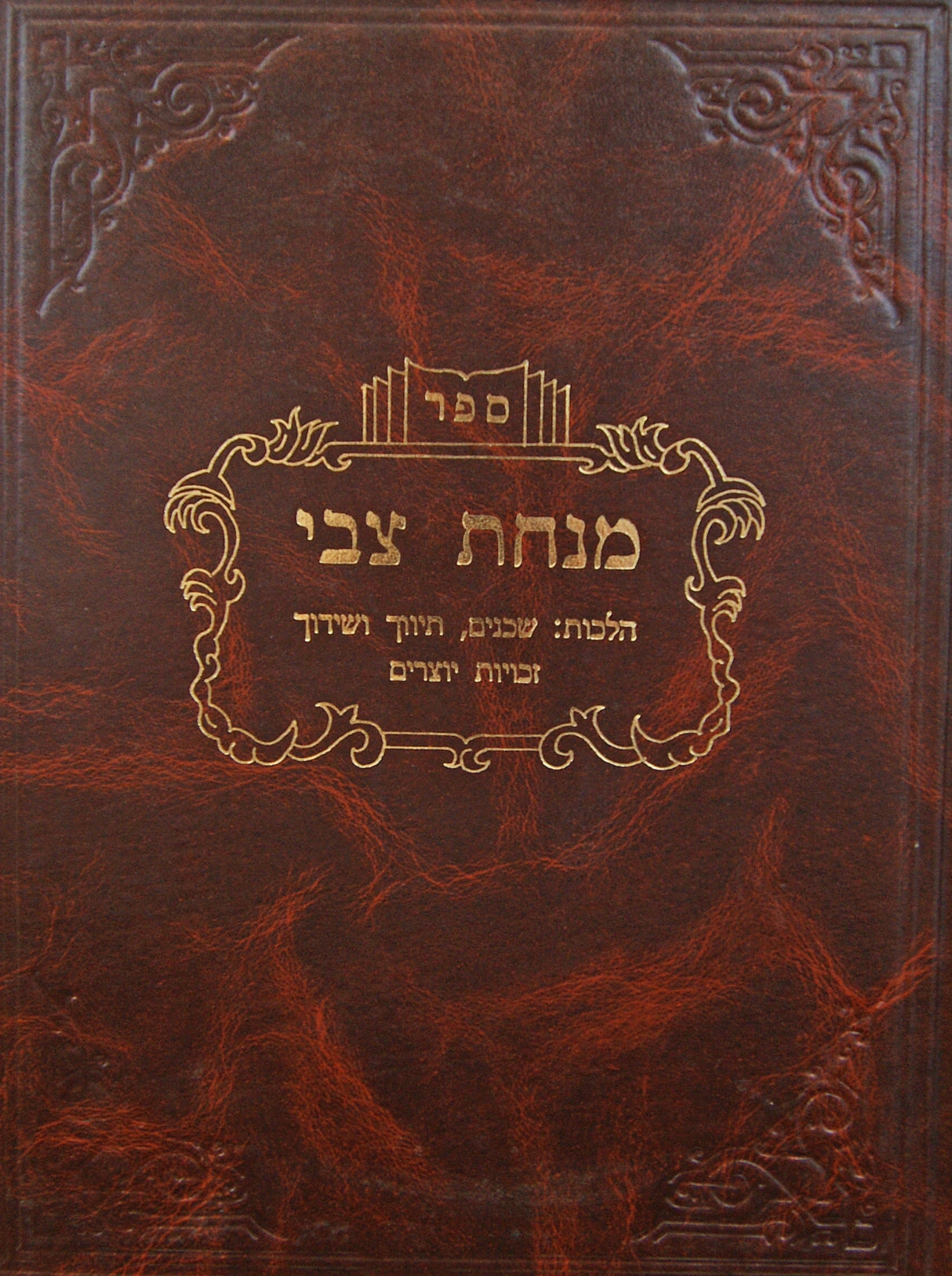 מנחת צבי-הלכות שכנים