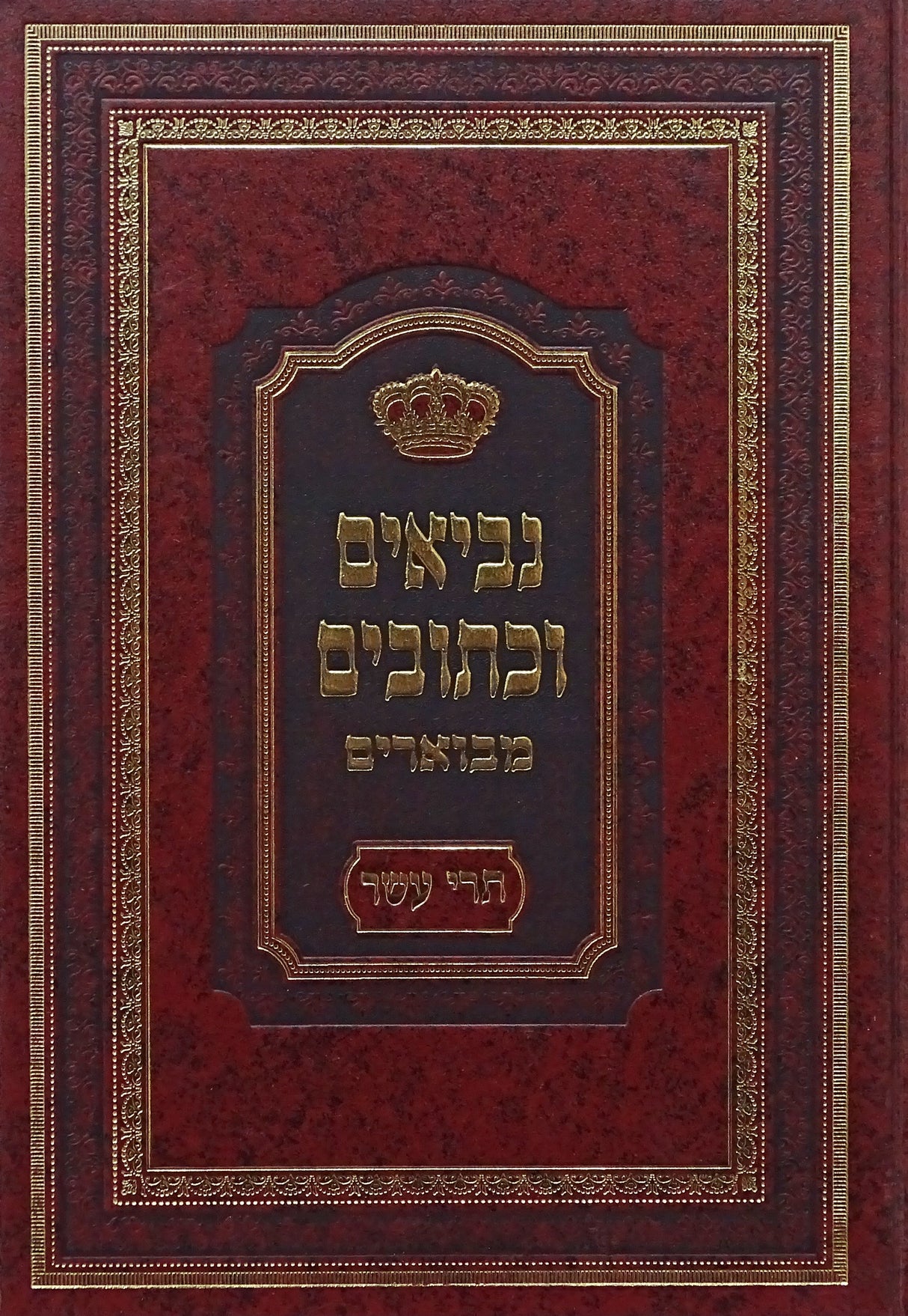 ביאורי משה - נביאים וכתובים מבוארים - תרי עשר