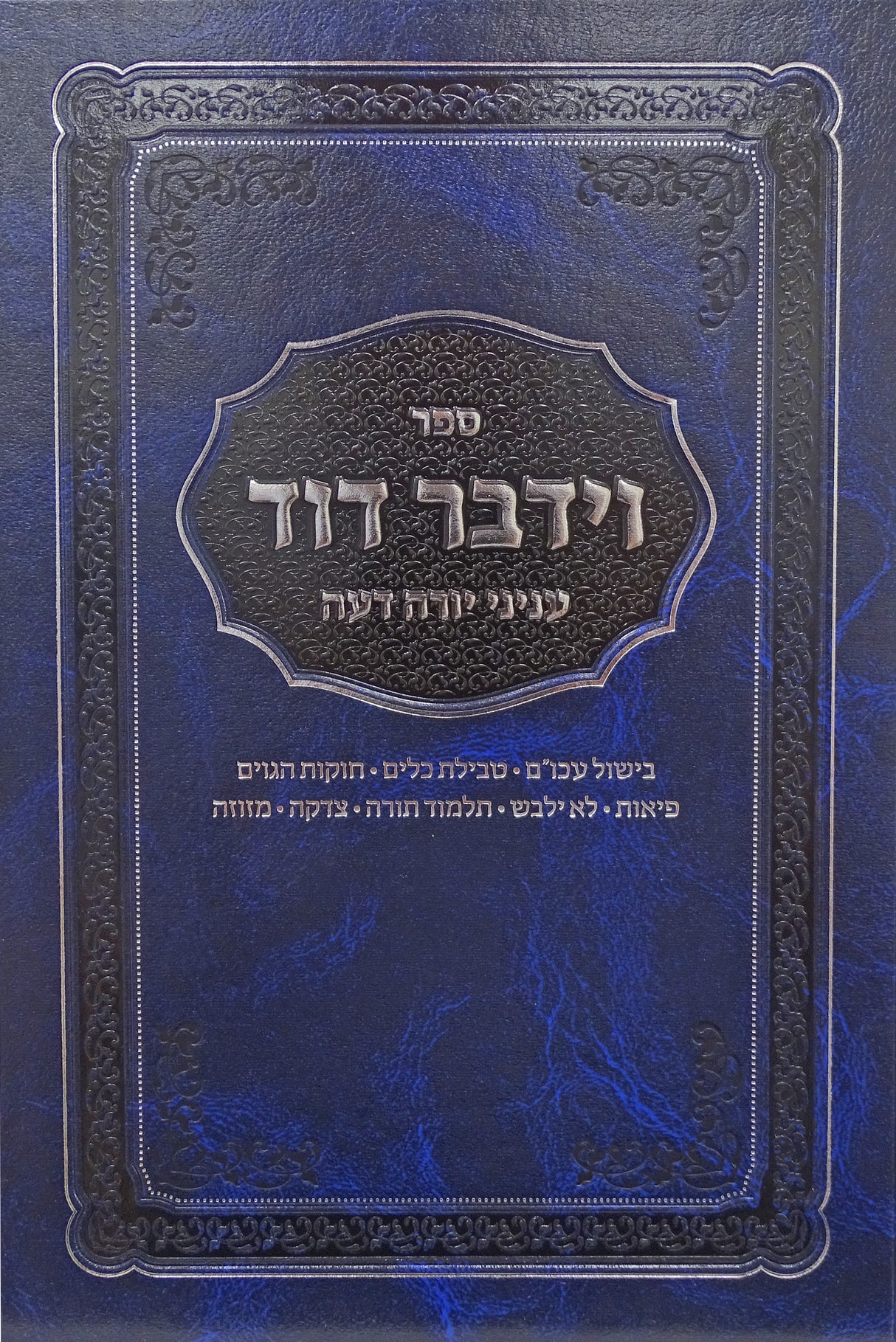 וידבר דוד - עניני יורה דעה