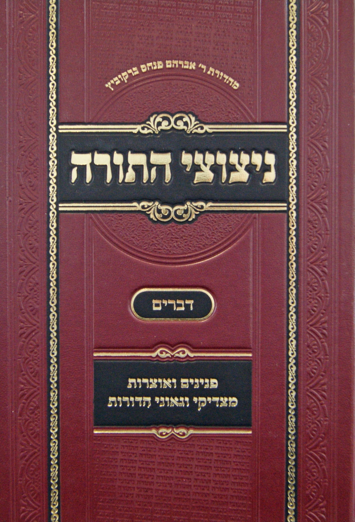 ניצוצי התורה - דברים