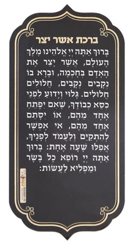 מגנט אשר יצר - שמחונים – Lehmanns