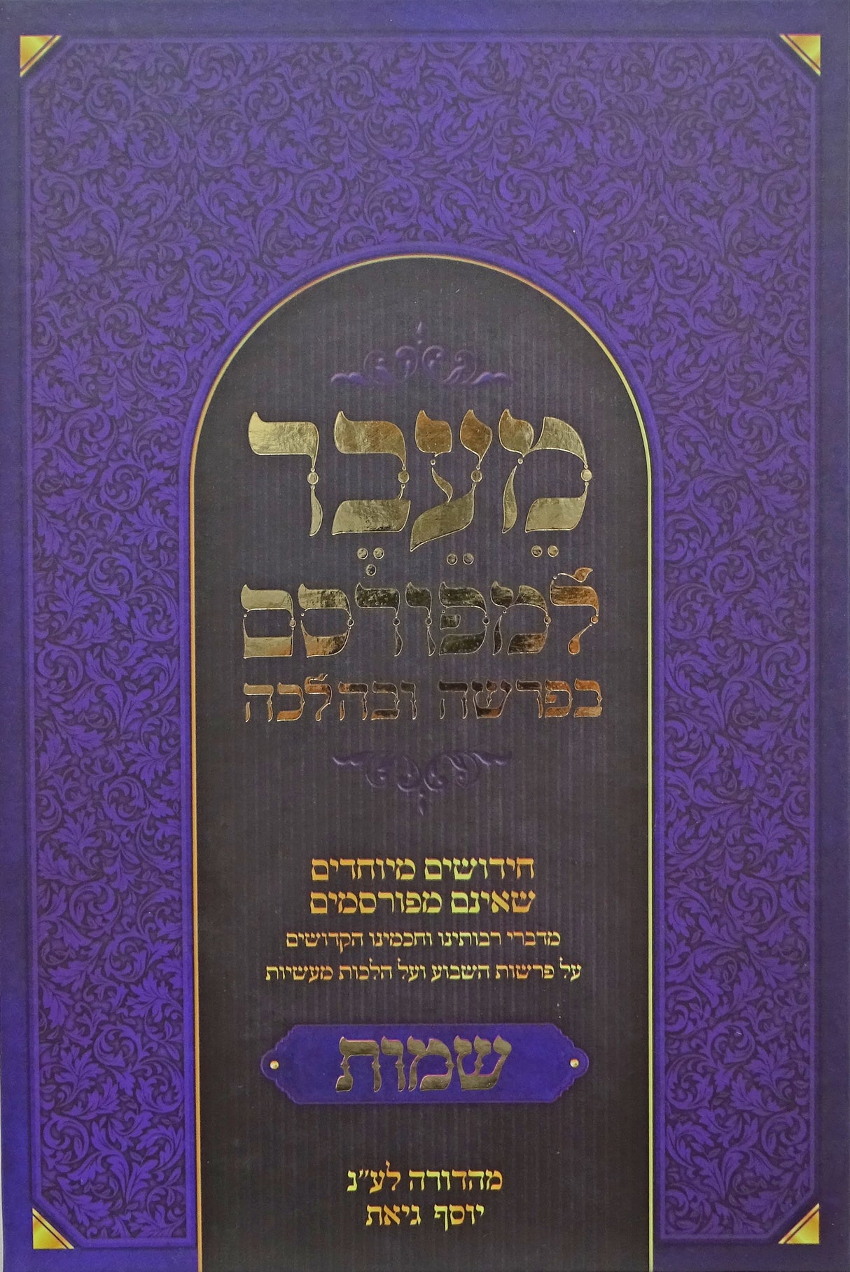 מעבר למפורסם בפרשה ובהלכה - שמות