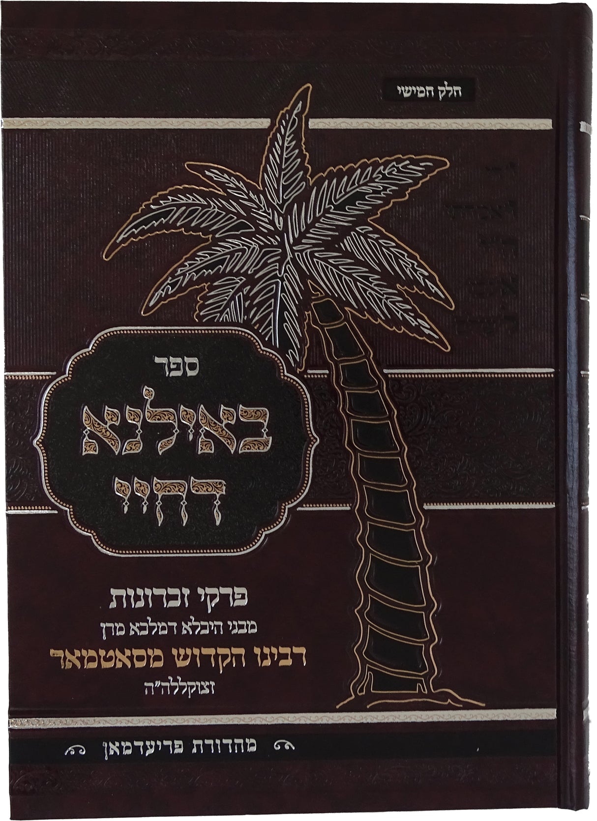 באילנא דחיי חלק ה - סאטמאר אידיש