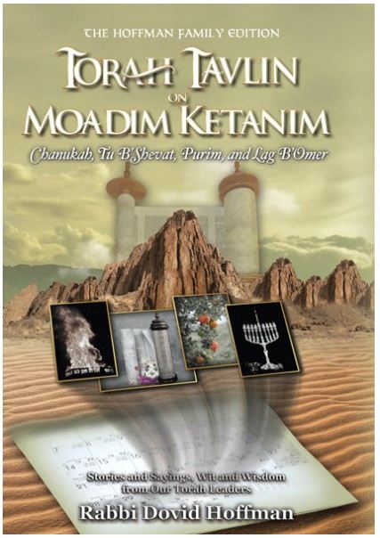 Torah Tavlin - Moadim Ketanim