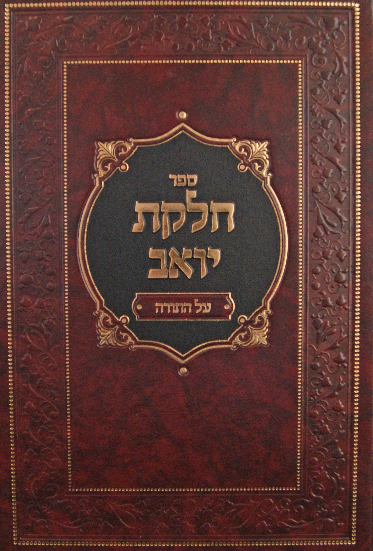 חלקת יואב על התורה