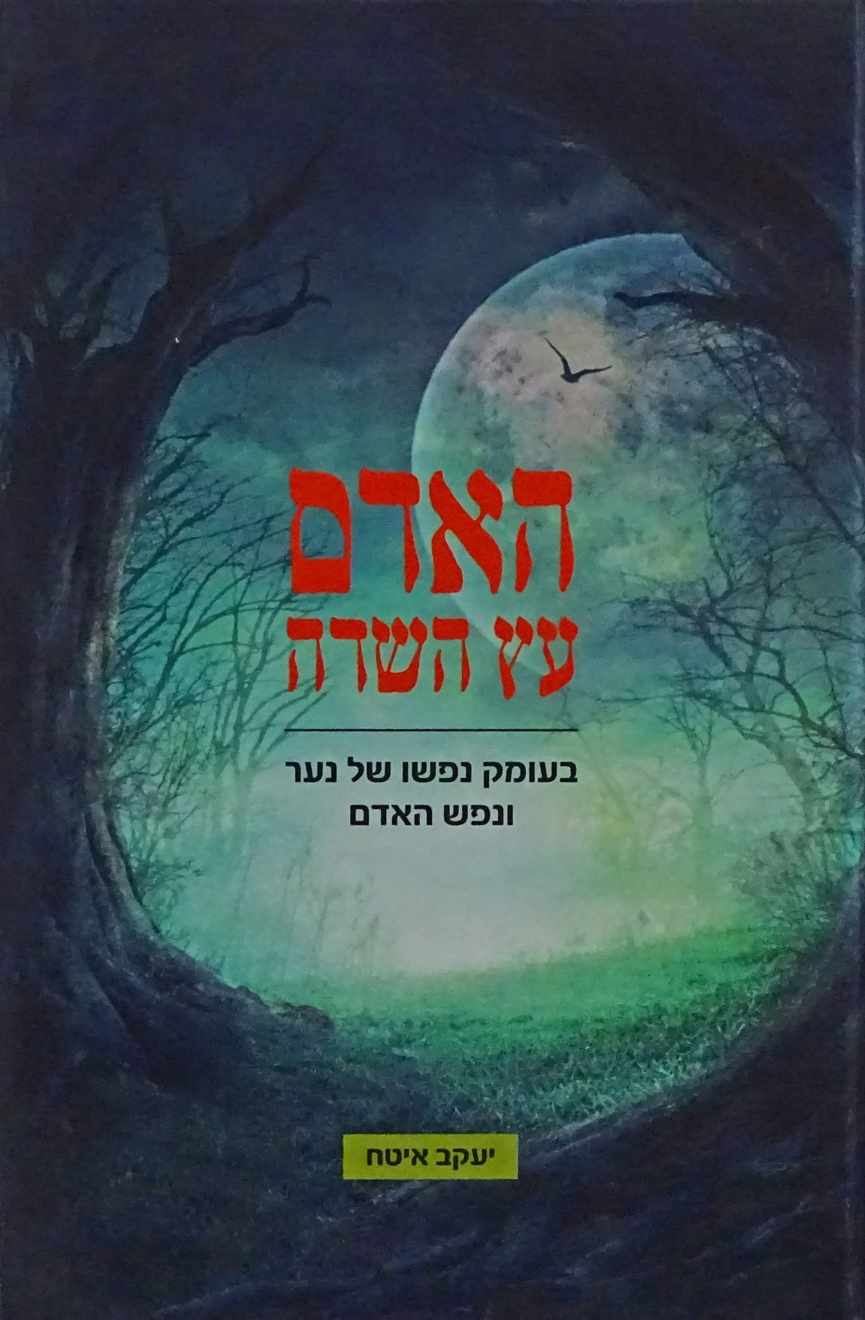 האדם עץ השדה 1 - בעומק נפשו של נער