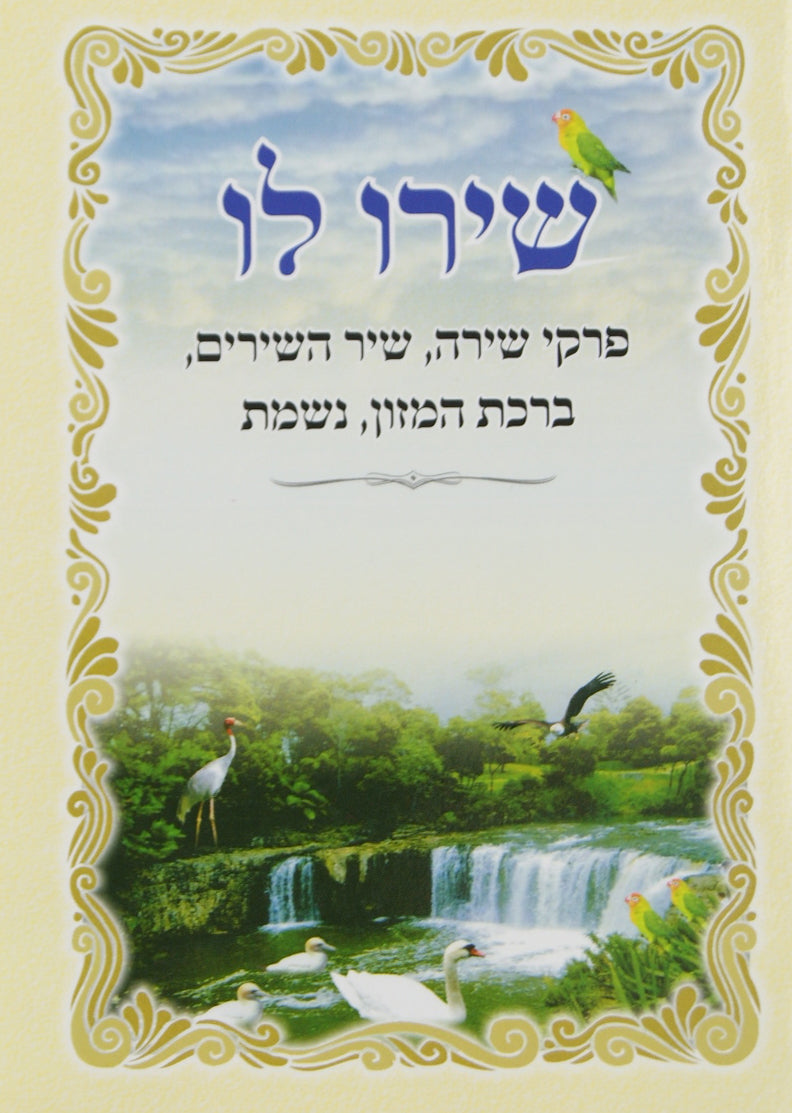 שירו לו - פרק שירה למינציה גדול